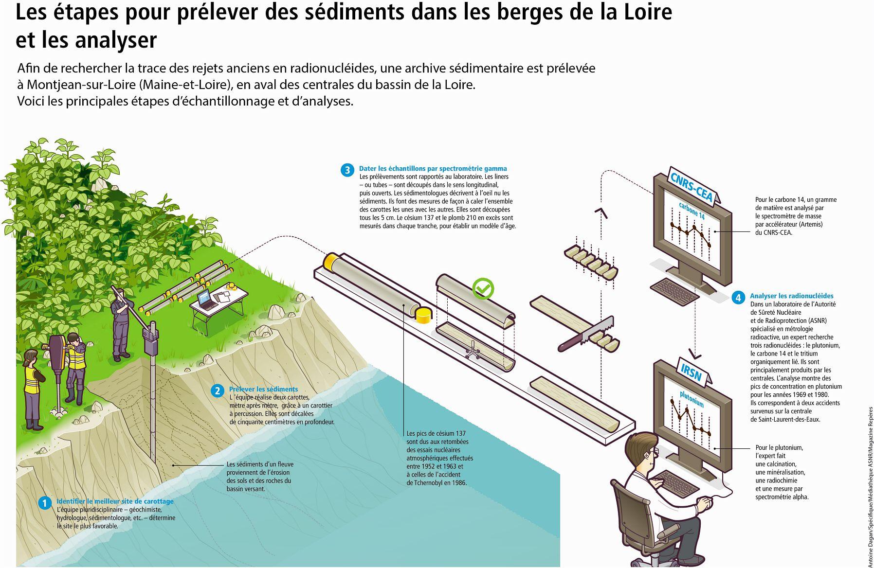 Visuel représentant une infographie